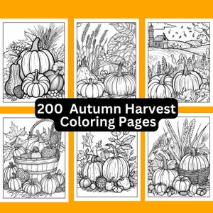 200 Autumn Harvest Coloring Pages, Printable, Instant Download, Stress Relief, Adult Coloring, Digital, Pumpkins, Corn, Squash, Baskets