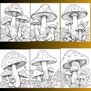 May include: A black and white line drawing of six different mushrooms with detailed features. The mushrooms are drawn in a realistic style and are surrounded by leaves.