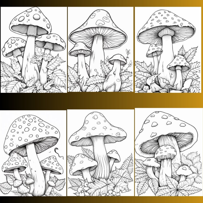 May include: A black and white line drawing of six different mushrooms with detailed features. The mushrooms are drawn in a realistic style and are surrounded by leaves.