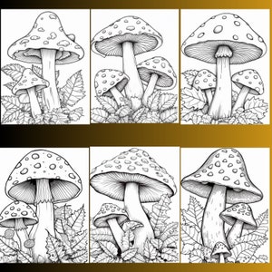 128 Mushroom Coloring Pages, Fungi Illustrations (Digital Download) image 6