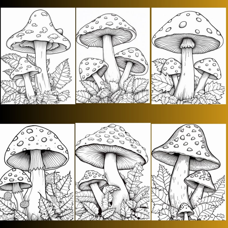 128 Mushroom Coloring Pages, Fungi Illustrations (Digital Download) image 6