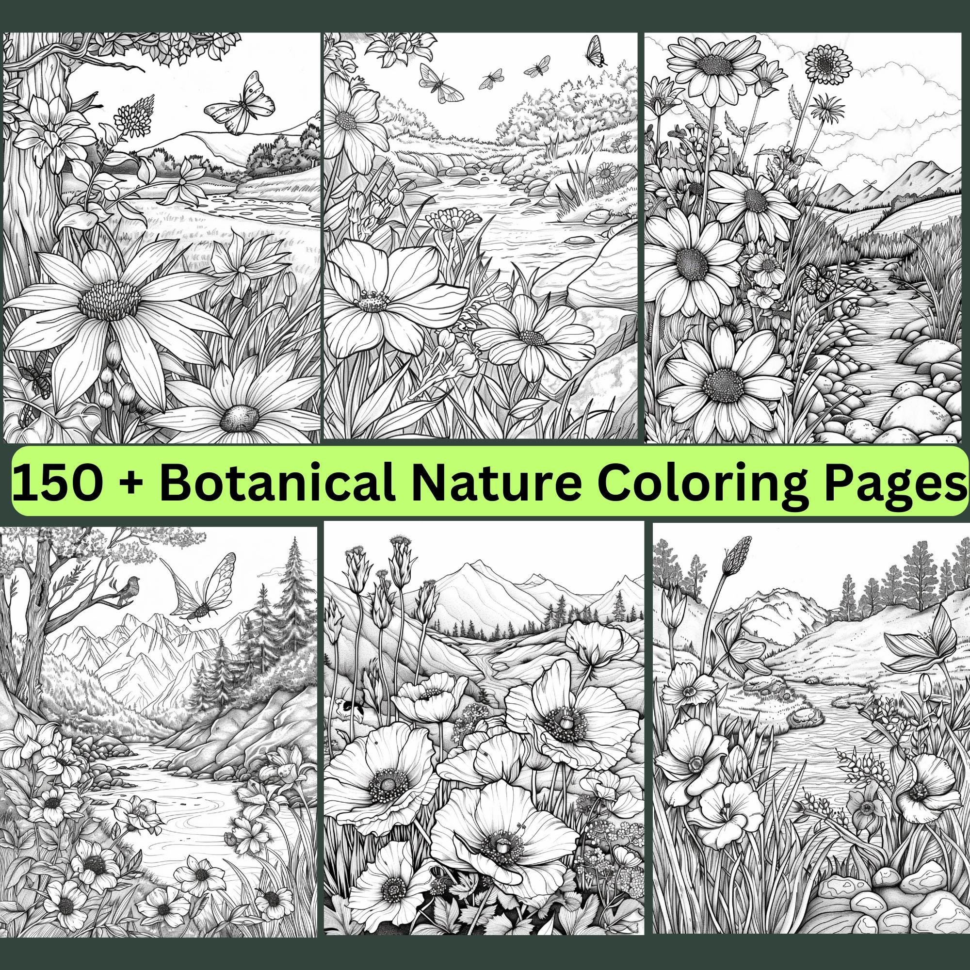 Más de 150 páginas para colorear de naturaleza botánica en paquete imprimible | Flores, árboles, montañas y ríos | PNG/PDF para Procreate, iPad e impresión en casa