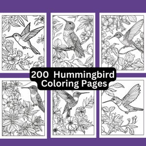 200 Kolibri Malvorlagen, Sofort Download, Stressabbau, Erwachsene Färbung, Digital, Vögel, Blumen, Bäume, Ruby Throated