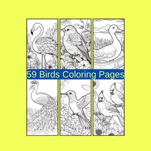 59 kleurplaten vogels, kleurboek voor volwassenen en kinderen (digitale download)