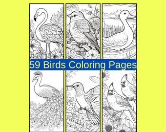 59 Birds Coloring Pages, Adult and Kid Coloring Book (Digital Download)