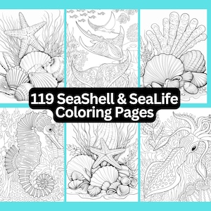 119 SeaShell SeaLife Coloring Pages, Printable, Instant Digital Download, Adult Kid Coloring, Sea Shell Coloring, Ocean Sea Life Coloring