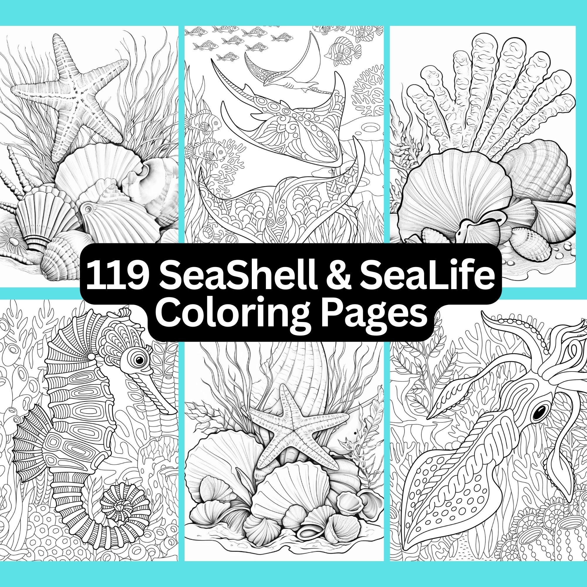 119 Seashell Sealife Coloring Pages, Printable, Instant Digital