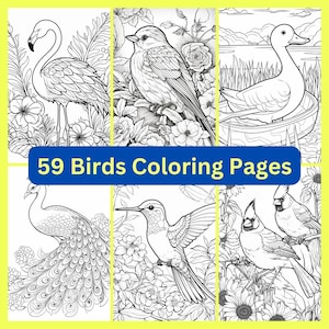 59 oiseaux pages à colorier, imprimables, téléchargement numérique immédiat, enfant adulte à colorier, livre de coloriage oiseau, hibou, cardinal, flamant rose, héron, canard