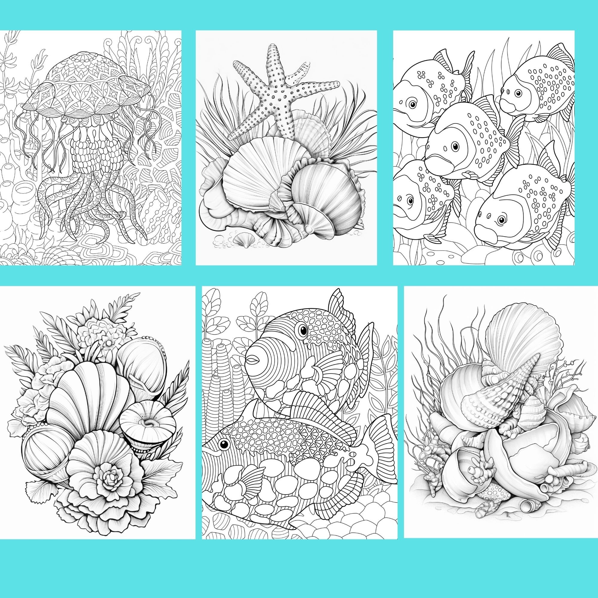 119 Seashell Sealife Coloring Pages, Printable, Instant Digital Download, Adult Kid Coloring ...