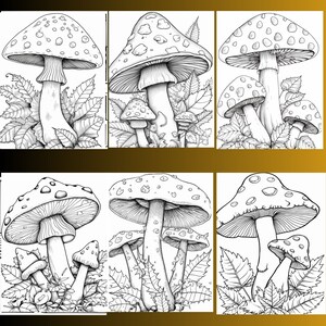 May include: A black and white line drawing of six mushrooms with spots. The mushrooms are drawn in a realistic style with detailed features. The mushrooms are surrounded by leaves.