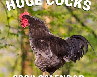 2024 Huge Cocks Wall Calendar, Unique White Elephant Gag Gift Exchange