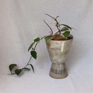May include: A trailing Hoya plant with variegated green and white leaves potted in a tall, tapered, footed ceramic planter. The planter features a mottled, earthy grey and brown glaze with a smooth finish, holding the plant in dark soil.