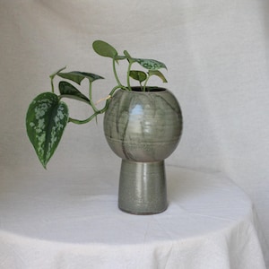 May include: A grey ceramic planter, spherical on a cylindrical base, holding a green plant with patterned leaves. The planter sits on a white surface, showcasing a minimalist design.