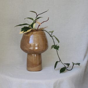 May include: A glossy, tan-coloured ceramic planter with a wide, rounded upper section and a narrower cylindrical base. A trailing plant with variegated green and cream-coloured leaves grows from the top, with one long vine extending downwards.
