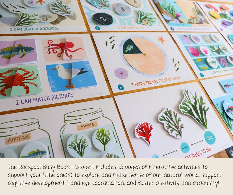 Rock Pool. Book Rockpool Busy Book: Toddler Learning Activities (digital Download) - Etsy