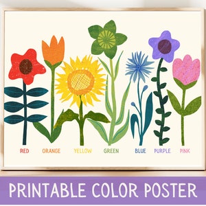 Farbposter Frühlingszeit Blumen Bunt Lernposter Montessori Kleinkind Waldorf Lernen durch die Natur Poster Farbe Kinderzimmer Dekor
