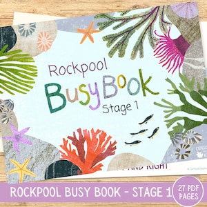 Rockpool Busy Book: attività di apprendimento per bambini piccoli (download digitale)
