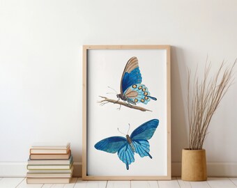 Stampa farfalla vintage, arte astratta luminosa degli insetti, illustrazione classica farfalla blu, parete entomologica americana, arte migliorata digitalmente