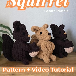 以下が含まれることがあります： 茶色と黒の色合いの手作りの編みぐるみリスのぬいぐるみ3体。それぞれ小さなドングリを持っています。画像には「Squirrel + Acorn Plushie」と「Pattern + Video Tutorial」というテキストが含まれています。ChunkyKnitCornerのデザインです。