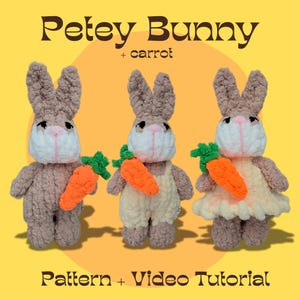 May include: Three crocheted bunny dolls with brown bodies, white faces, and pink noses, each holding an orange carrot with green leaves. One bunny wears overalls, and another wears a dress. The text "Petey Bunny + carrot" and "Pattern + Video Tutorial" are displayed.