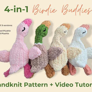 May include: Four handmade plush bird toys in pink, green, cream, and white, each with a unique design. The image includes text that reads "4-in-1 Birdie Buddies" and "Handknit Pattern + Video Tutorial."