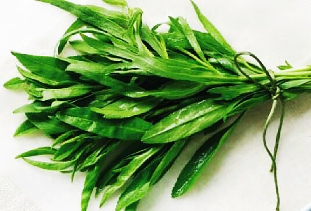 thumbnail image 2 of Country Creek Tarragon Herb Seeds - 500 Heirloom Seeds - Non-GMO, Edible Spice 2 of 5