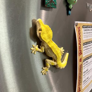 May include: A bright yellow gecko magnet with a textured surface and visible joints, positioned on a metallic surface. The gecko has a triangular head, four splayed feet, and a curved tail. Above it are a small square painting and a green alien figure.