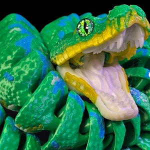 May include: A detailed, close-up view of a green and blue snake with its mouth open, revealing white teeth and a pink tongue. The snake's eyes are a vibrant green with black pupils. The snake's scales are detailed and textured.