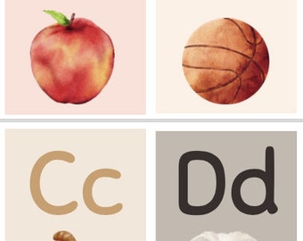 Schede flash dell'alfabeto