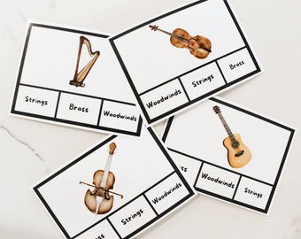 Schede flash della famiglia di strumenti