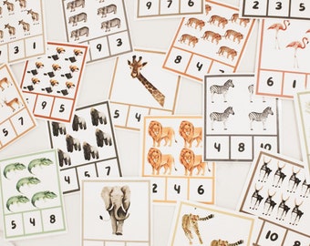 Conteggio delle schede flash numero 1-10 - Tema Safari