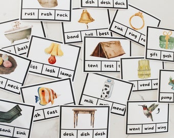 Schede flash CCVC e CVCC