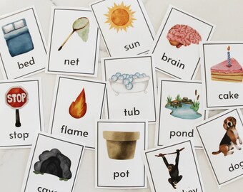 Attività di ordinamento delle vocali corte e lunghe