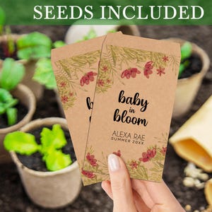 Personalized Baby Shower Seed Packets, Baby in Bloom Seed Packet, Baby Shower Favors for Guests in Bulk, Wildflower Seeds Included Envelopes