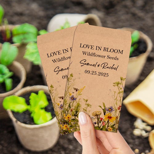 cactus potting mix Christmas Cactus Potting Soil Mix, Custom Blend for Xmas, Easter, and  Thanksgiving Cactus Tropical Indoor Houseplants – Kurated Korner