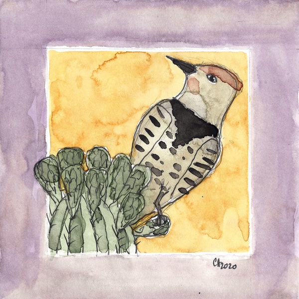 Flicker on Saguaro, print watercolor and pencil