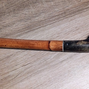 Walking stick