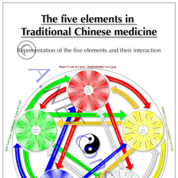TCM poster The five elements in Traditional Chinese medicine DIN A3 (11.7 x 16.5 inches as download)