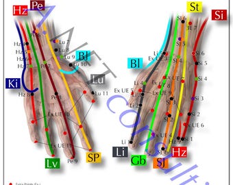 Cartaz Shiatsu Mãos DIN A3 (para download)
