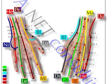 Cartaz de acupuntura mãos DIN A3 (para download)