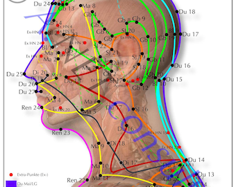 Cabeça de pôster de acupuntura DIN A3 (para download)