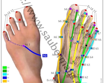 Cartaz de Acupuntura Pés A3 (para download)