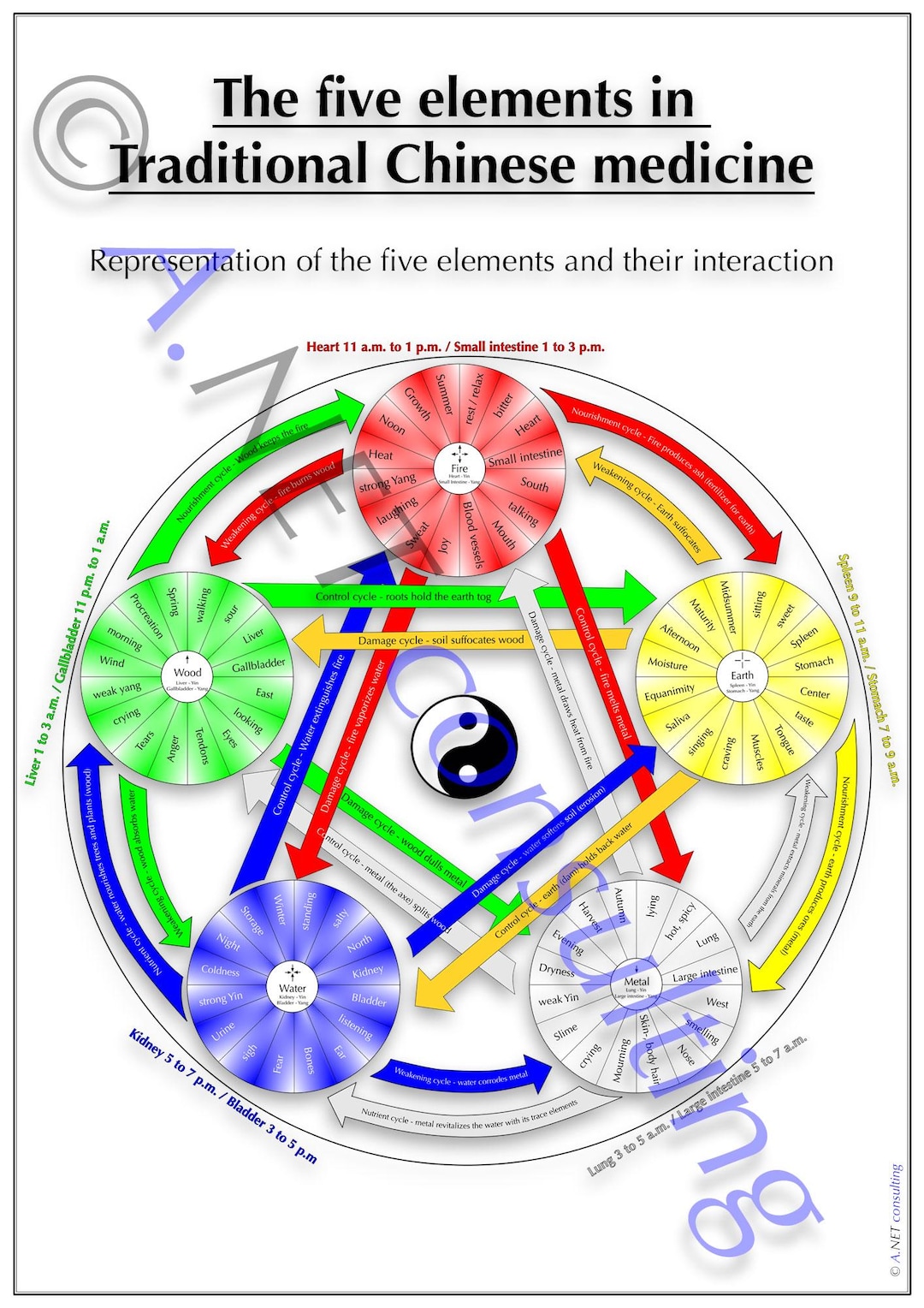 Traditional Chinese Medicine Poster "five Elements" DIN A3 (as Download ...