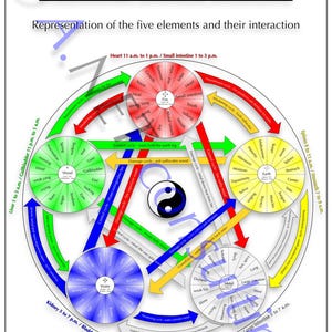 Traditional Chinese medicine poster "Five elements" DIN A3 (as download)