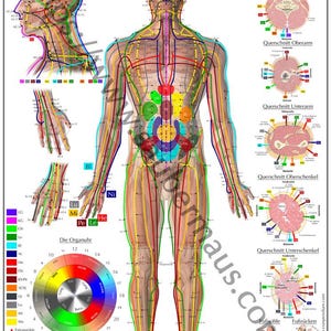 Shiatsu poster front DIN A2 (as download)