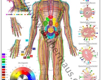 Pôster Shiatsu frente DIN A2 (para download)