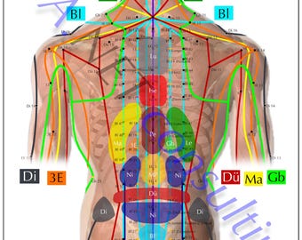 Cartaz de Shiatsu torso costas DIN A2 (para download)
