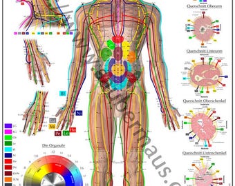 Pôster Shiatsu frente DIN A0 (para download)