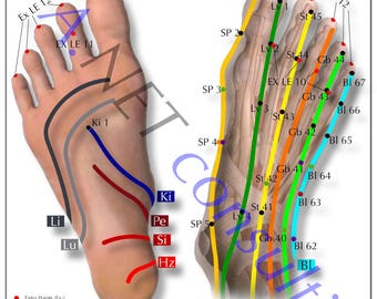 Cartaz Shiatsu Alimenta DIN A3 (como Download)