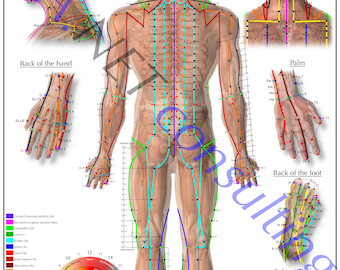 Verso do pôster de acupuntura DIN A2 (para download)